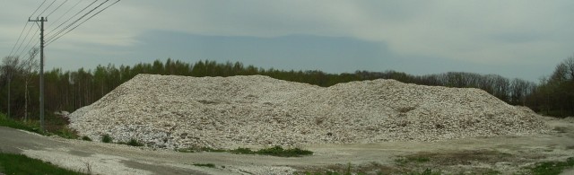 ホタテ貝殻の廃棄の山
